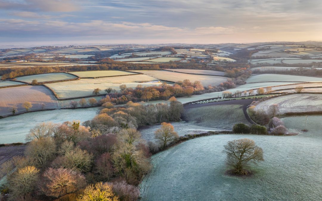 uk winter