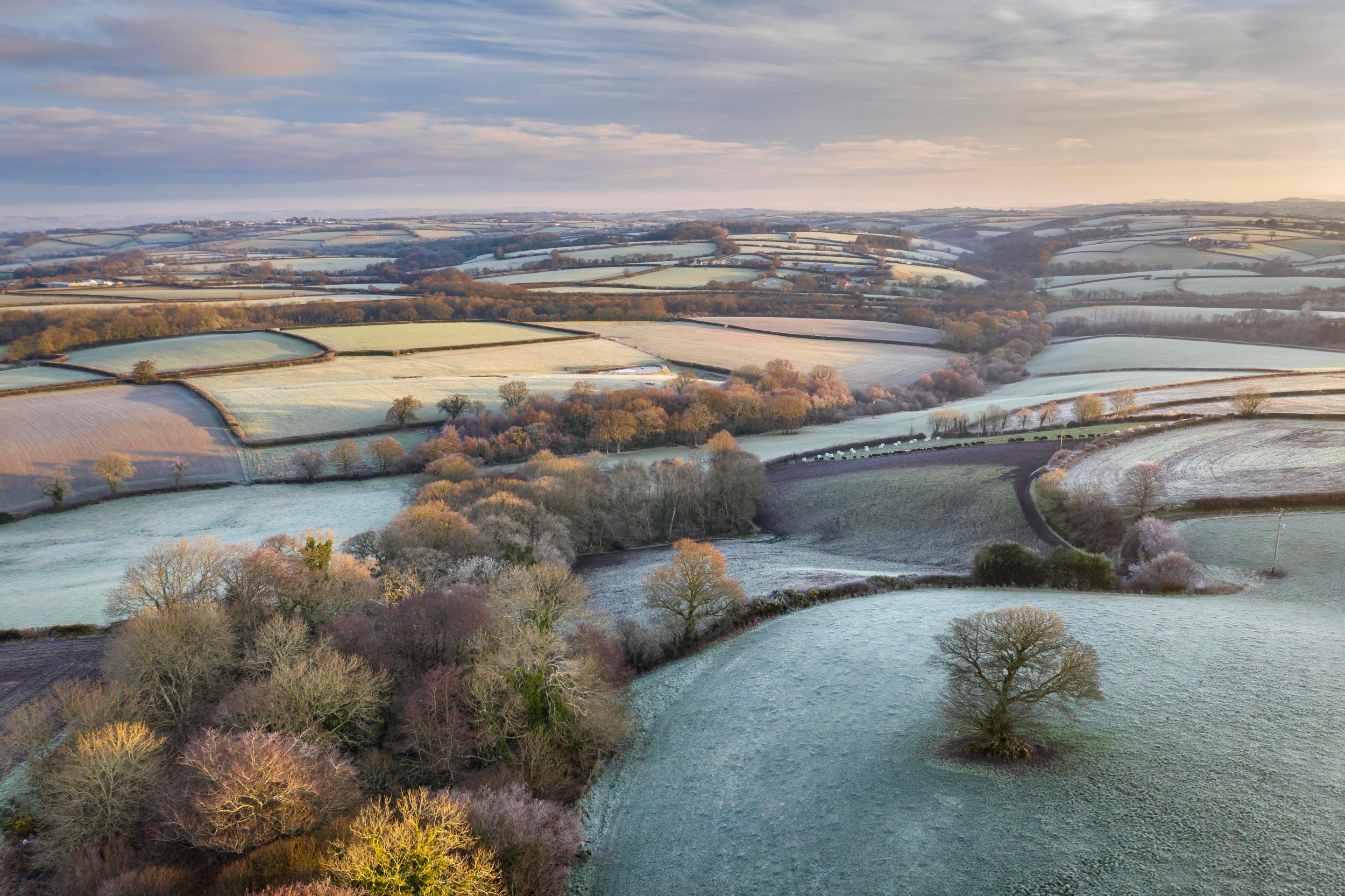 uk winter